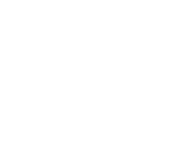 Feyen Zylstra Best and Brightest Winner