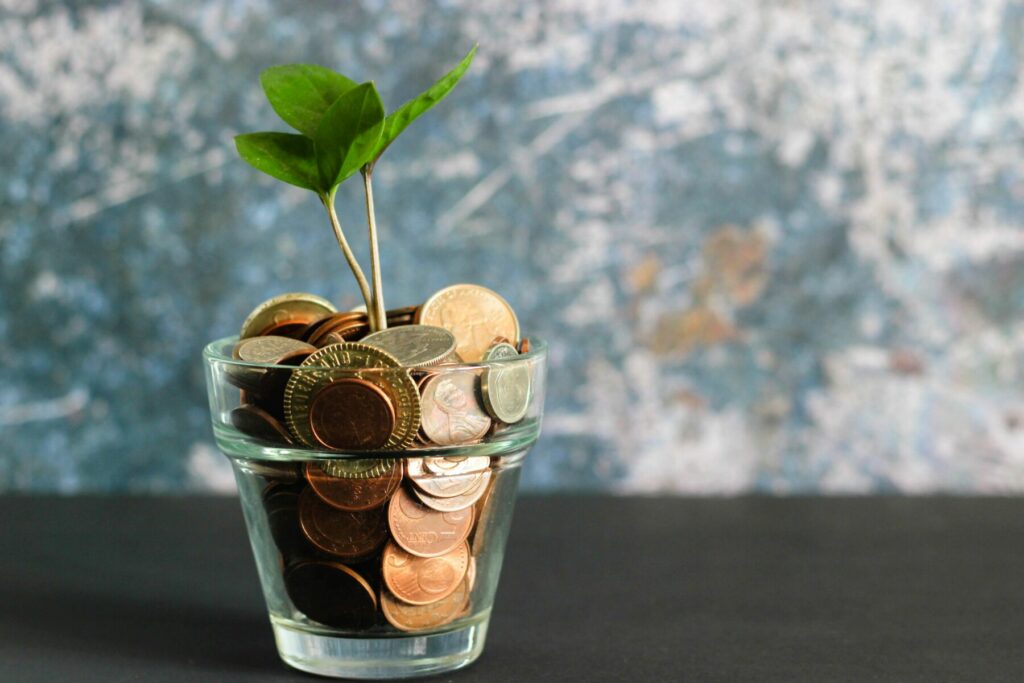 plant in a glass pot full of coins