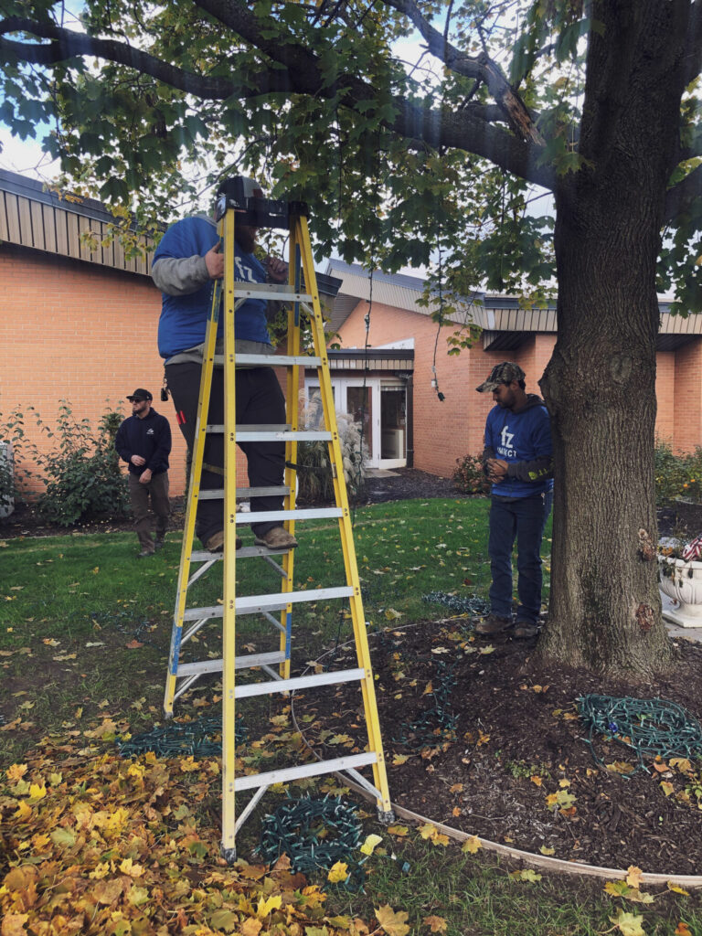 FZ apprentices putting up christmas lights