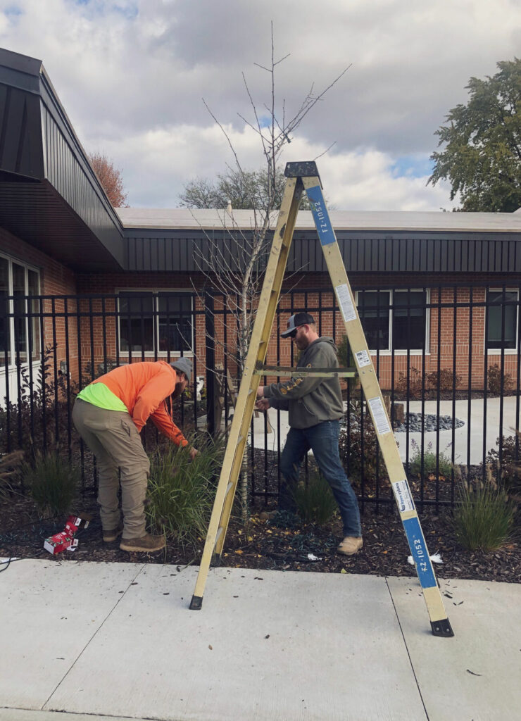 FZ apprentices putting up christmas lights