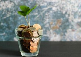 plant in a glass pot full of coins - VFD